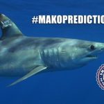 #makoprediction